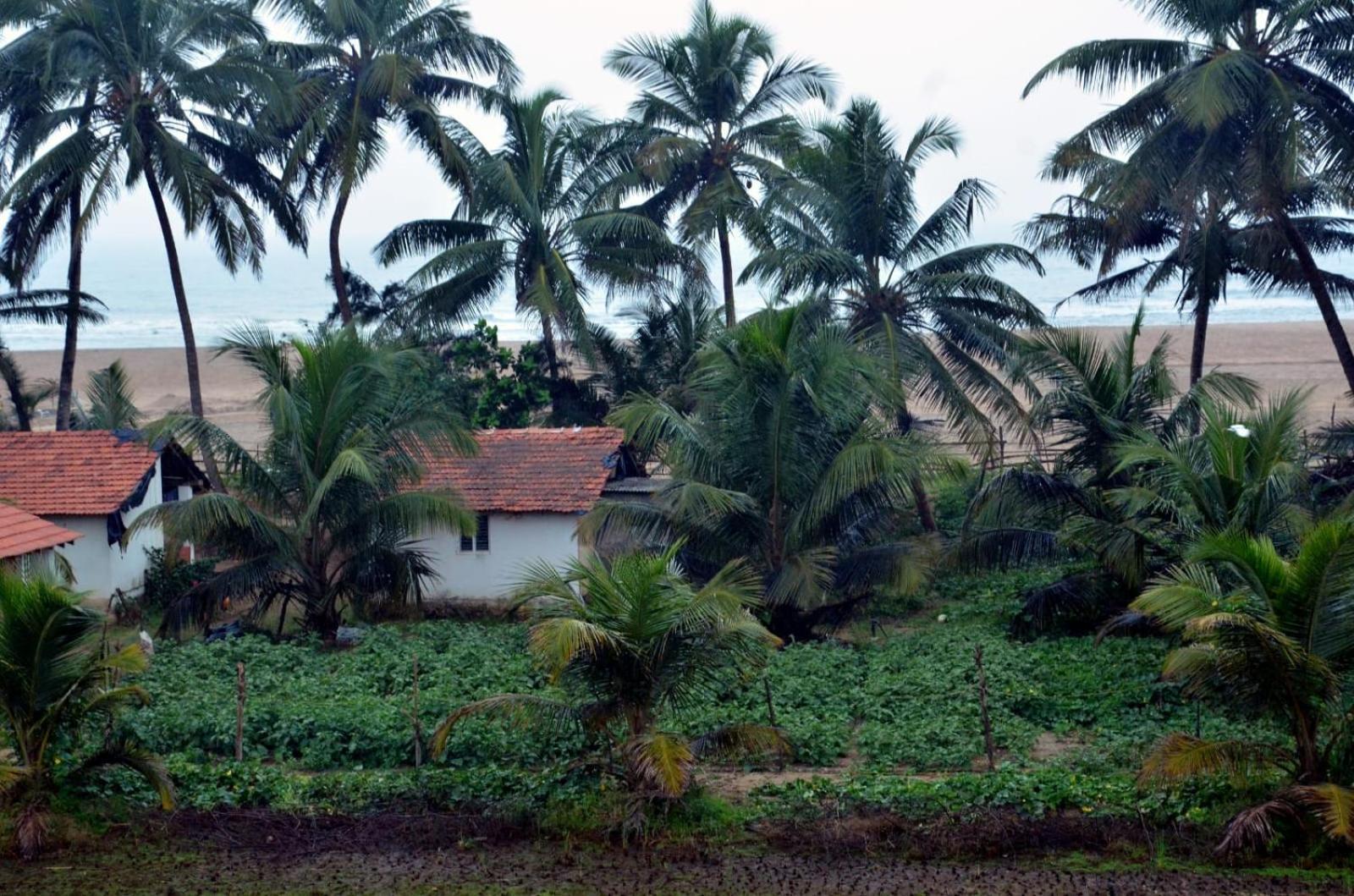 Kenchas Beach Resort Gokarna  Eksteriør billede